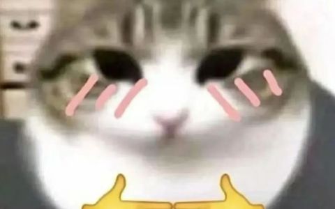 拼多多获取自然流量必须要注意的五个细节！