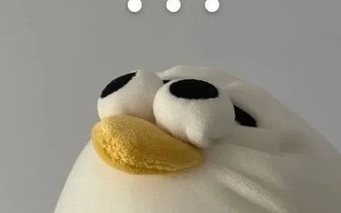 开个抖店，没人也没单？简单！这五个原因你都踩了？