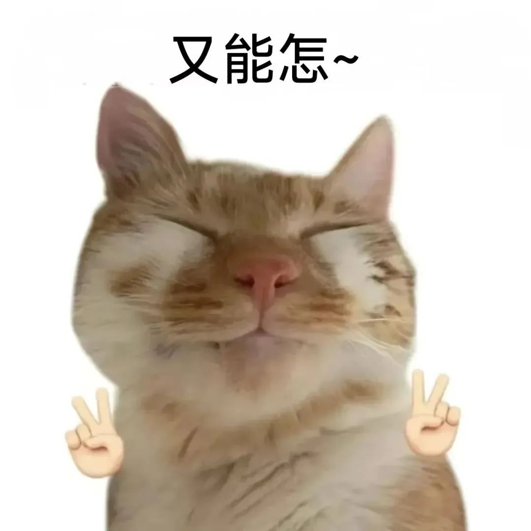 26453