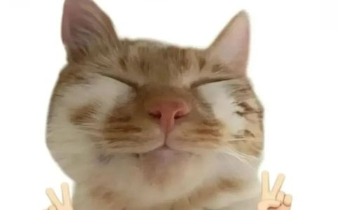 拼多多链接总是被比价，三个方法教你做有效的防比价！