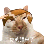 640