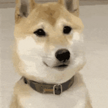 687