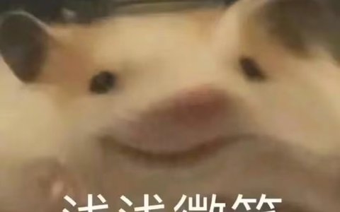 淘宝是开企业店好还是开个人店好？哪个会更加有优势？？看着挑你就明白啦！