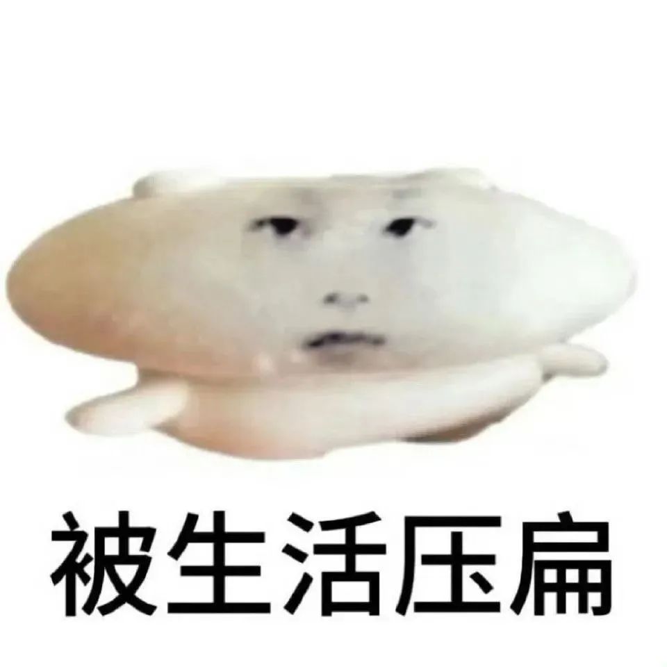 3636