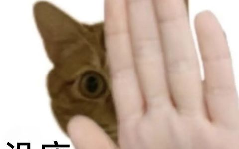 想要拼多多店铺销量稳定增长，这种玩法要知道！