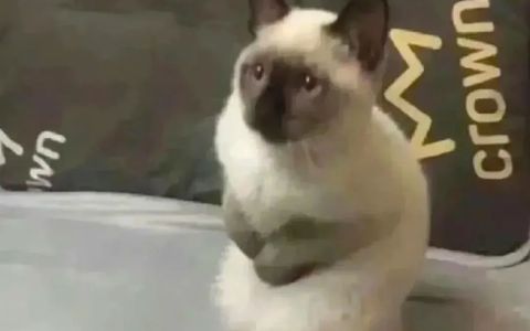 拼多多店铺访客多成交量低怎么回事？