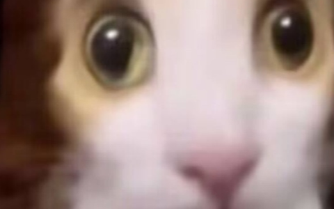 拼多多新品想要获得流量，一定要会的三个技巧！