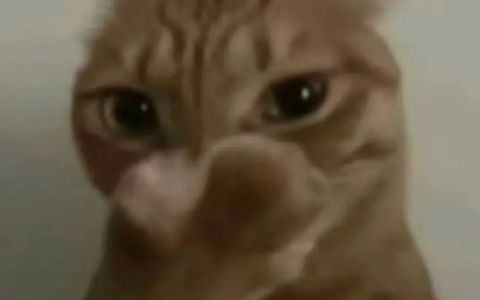 拼多多店铺做不起来的三个原因！新手一定要注意！