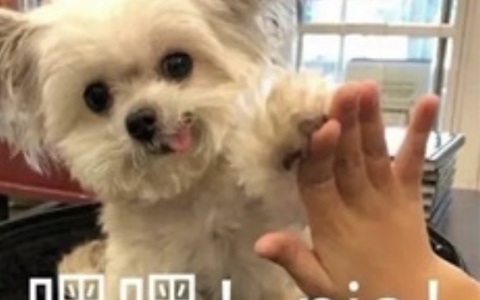 拼多多为什么你报了活动流量反而更差了？