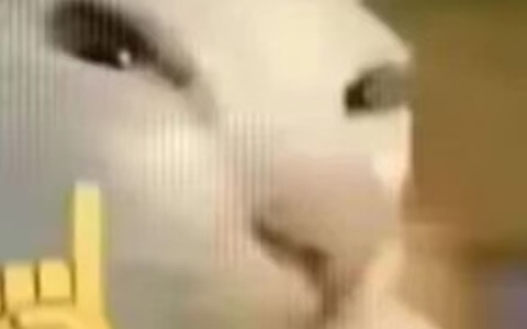 淘宝店铺的个人店铺要怎么交税？