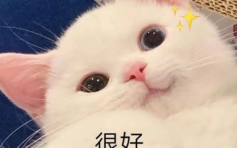 你的淘宝，访客有，流量有，就是没订单？咋回事？怎么办？