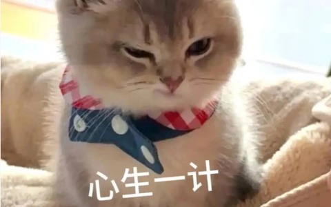 淘宝店铺老店转让的流程是什么？