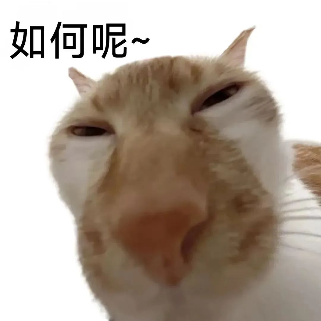 53648