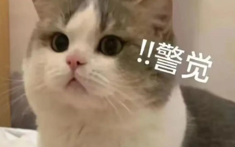 淘宝商品失效了？！商品过期想要恢复就看这条！！