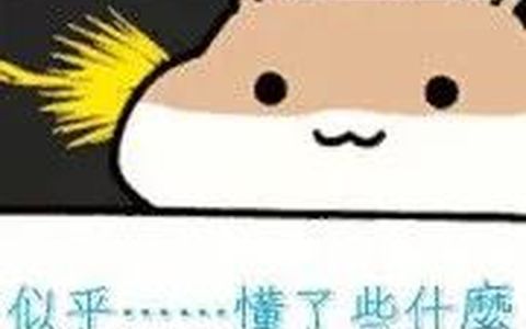 抖音小店想要起流量出单最低层的四个逻辑！