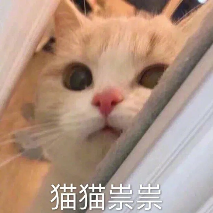 83cfd6ae8d9fd93d4e7246761a2a8ab
