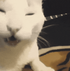 拼多多运营六个核心步骤和技巧！