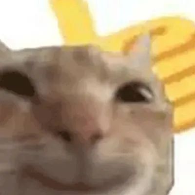 02545