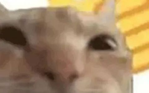 做拼多多店铺想要短时间出单，一周时间教你破局！