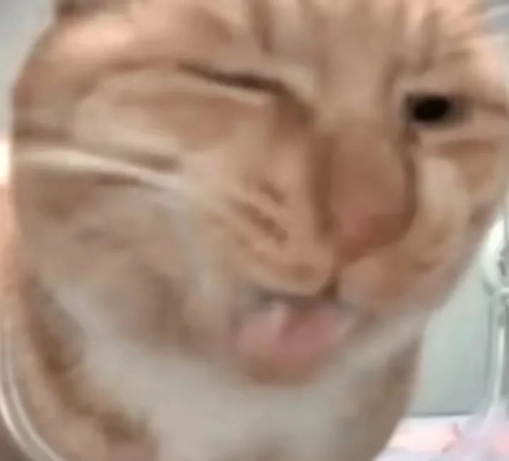 7345