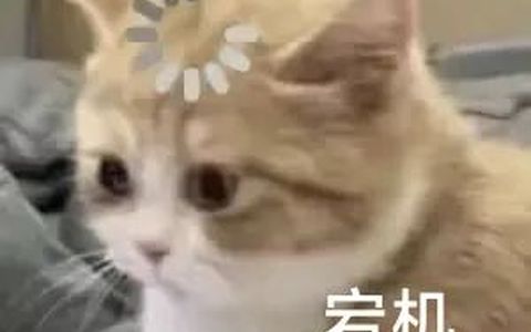 做拼多多店铺现在还能不能做一件代发啊？