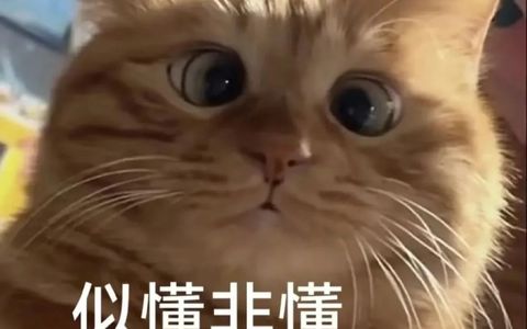 新手做淘宝，起店四个建议！