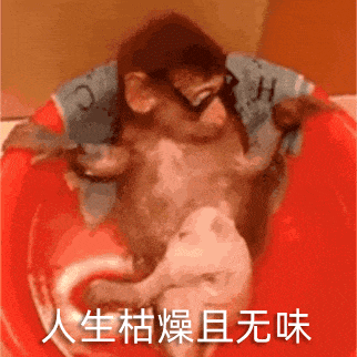抖音商家必看！冷启动期这样做，让平台"跪求"给你流量！
