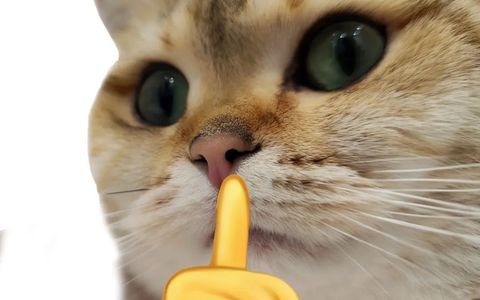 抖音直播间管理员最多设置几个？