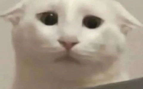 拼多多增加权重的方法？