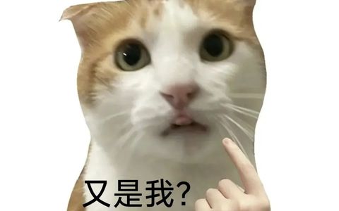 1688平台如何评估商品价格竞争力？