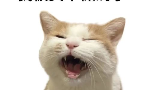 这些情况会导致店铺突然没有流量！