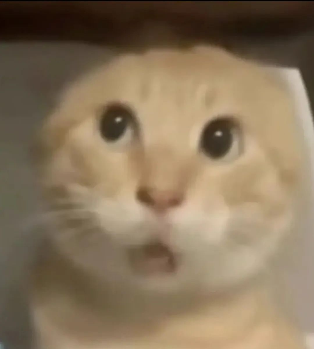 67852