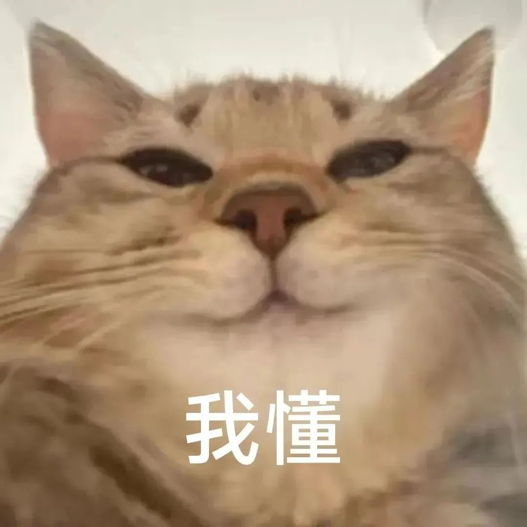 527485