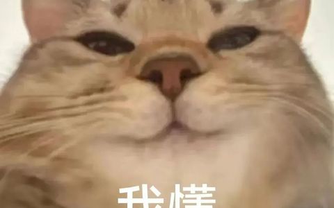 抖店绑定官方账号可以解绑吗？如何解绑？