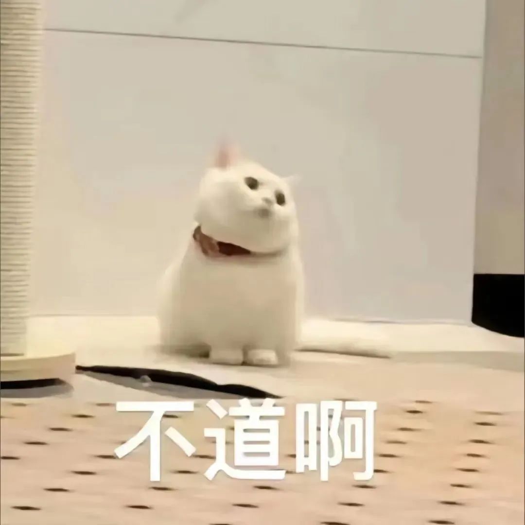 2555558