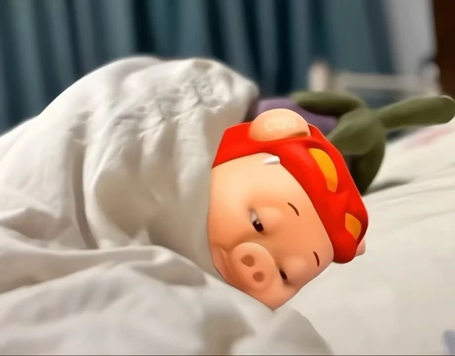 拼多多的退款次数与信誉有什么关联？0
