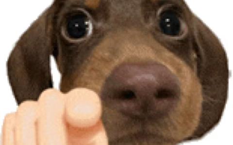 淘宝上的商家扣多少分会被封闭店铺？记分的标准是什么？