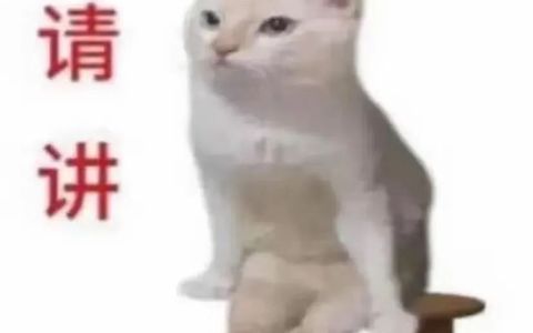 在拼多多想要做到日销多单，快速起量的秘密！