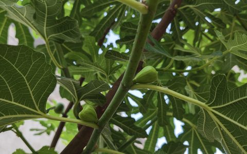 淘宝商品失效要如何处理？