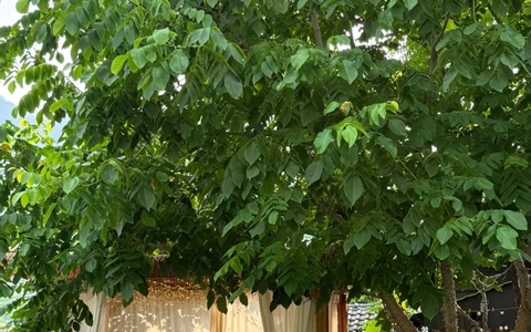 抖音发货超时怎么办？