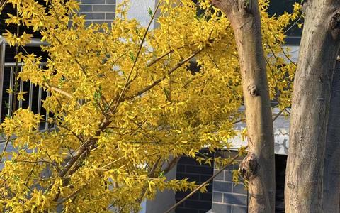 淘宝卖家如何设置运费险？