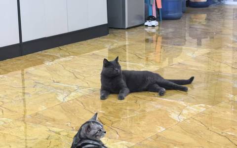 抖店在设置偏远地区不发货的时候需要注意什么？