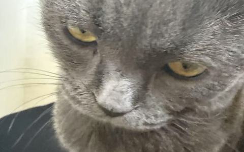 拼多多被比价了还能恢复吗？
