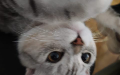 淘宝老店有什么优势？