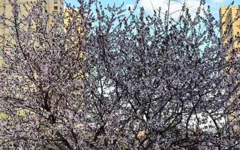 抖音发布的视频多上播放量算正常？