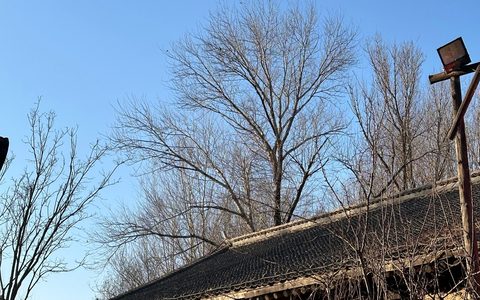 拼多多因商品违规限制推广，该怎么解封？