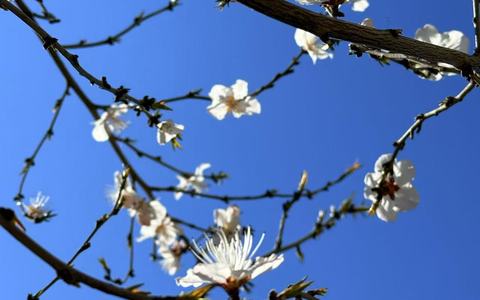 淘宝个人店铺怎么转为企业店铺？