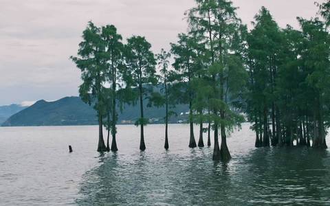 小红书怎么推广引流不违规？