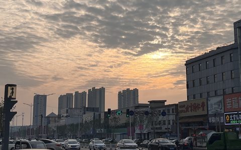 新开的淘宝店铺提钱被冻结怎么办？