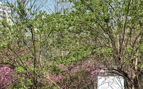 抖音短视频推广引流怎么做？